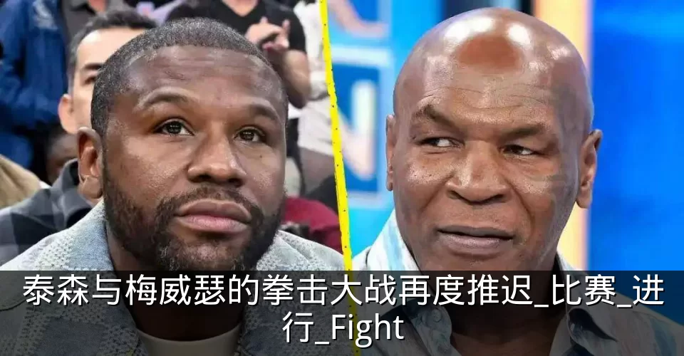 泰森与梅威瑟的拳击大战再度推迟_比赛_进行_Fight