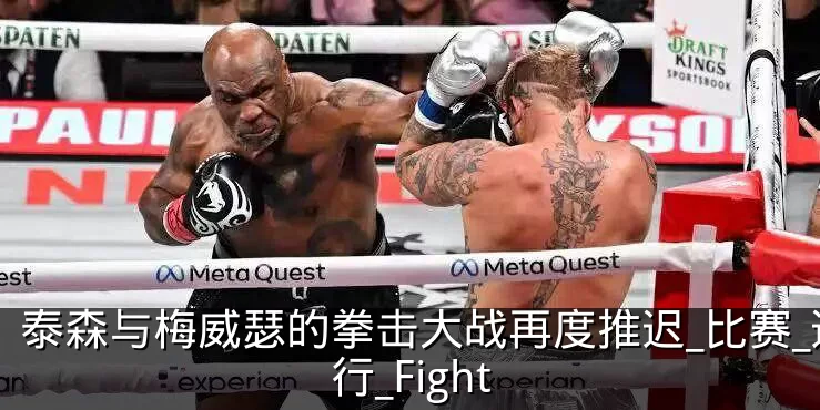 泰森与梅威瑟的拳击大战再度推迟_比赛_进行_Fight
